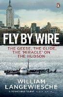 Fly By Wire: The Geese, The Glide, The 'Miracle' on the Hudson