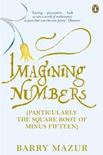 Imagining Numbers