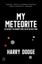 My Meteorite: Or, Without the Random There Can Be No New Thing