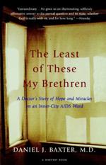 The Least of These My Brethren: A Doctor's Story of Hope and Miracles in an Inner-City AIDS Ward