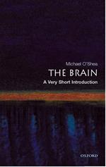 The Brain: A Very Short Introduction