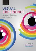 Visual Experience