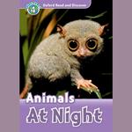 Animals at Night