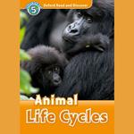 Animal Life Cycles