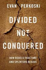 Divided Not Conquered: How Rebels Fracture and Splinters Behave