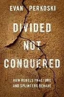 Divided Not Conquered: How Rebels Fracture and Splinters Behave