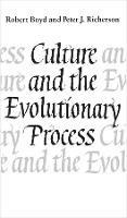 Culture and the Evolutionary Process