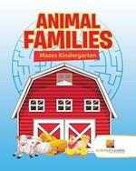 Animal Families: Mazes Kindergarten