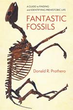 Fantastic Fossils