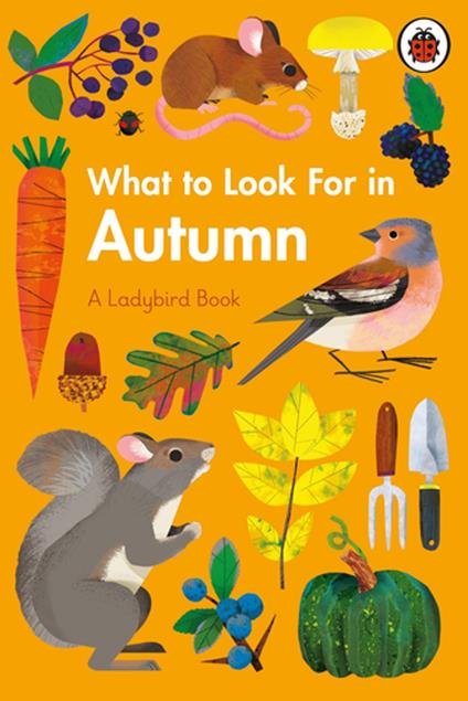 What to Look For in Autumn - Elizabeth Jenner,Natasha Durley - ebook