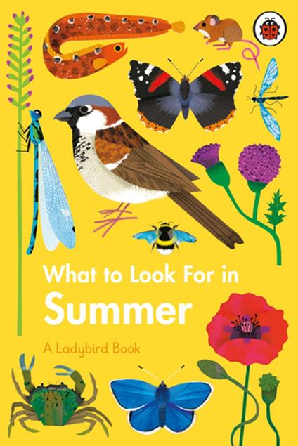 What to Look For in Summer - Elizabeth Jenner,Natasha Durley - ebook