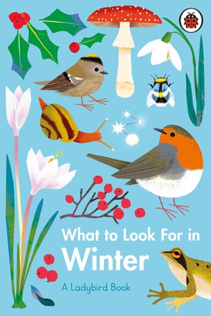 What to Look For in Winter - Elizabeth Jenner,Natasha Durley - ebook