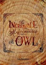 The Incredible Adventures of Mr Owl