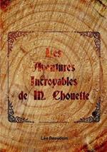 Les Aventures Incroyables de M. Chouette