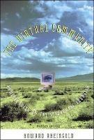 The Virtual Community: Homesteading on the Electronic Frontier