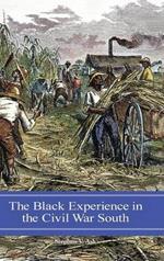 The Black Experience in the Civil War South