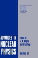 Advances in Nuclear Physics: Volume 22