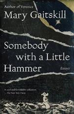 Somebody with a Little Hammer: Essays