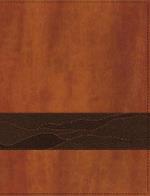 Rooted: The NIV Bible for Men, Leathersoft, Brown, Thumb Indexed, Comfort Print