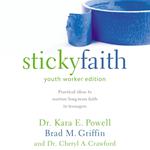 Sticky Faith, Youth Worker Edition