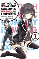 My Youth Romantic Comedy Is Wrong, As I Expected, Vol. 1 (light novel)