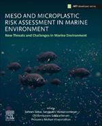 Meso and Microplastic Risk Assessment in Marine Environments: New Threats and Challenges