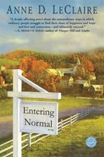 Entering Normal: A Novel