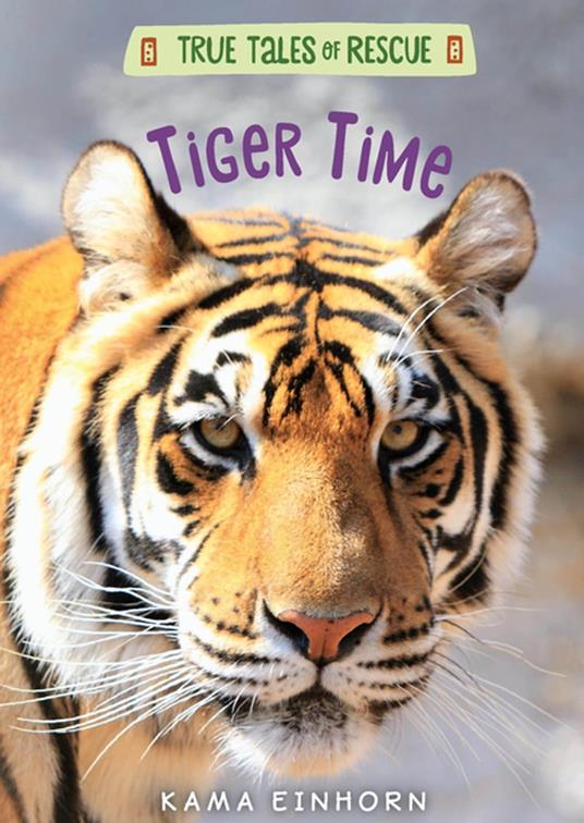 Tiger Time - Kama Einhorn - ebook