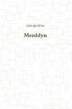 Merddyn