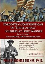 Forgotten Contributions of Little Africa Soldiers at Fort Wagner