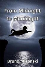 From Midnight to Moonlight