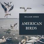 American Birds