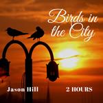 Birds in the City