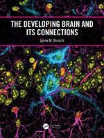 The Developing Brain and its Connections