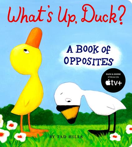 What's Up, Duck? - Hills Tad - ebook