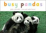 Busy Pandas