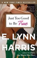 Just Too Good to Be True: A Novel