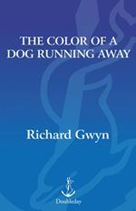 The Color of A Dog Running Away