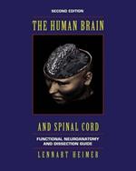 The Human Brain and Spinal Cord: Functional Neuroanatomy and Dissection Guide