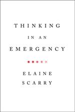 Thinking in an Emergency (Norton Global Ethics Series)