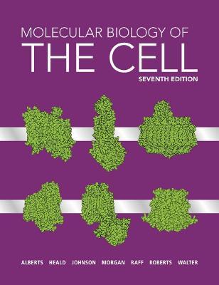 Molecular Biology of the Cell - Bruce Alberts,Rebecca Heald,Alexander Johnson - cover