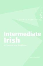 Intermediate Irish: A Grammar and Workbook