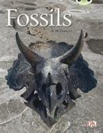 Bug Club Guided Non Fiction Year Two Gold A Fossils