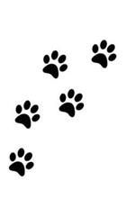 dog paw print Writing Drawing Journal: doggie paw print Writing Drawing Journal.