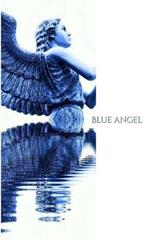 Blue Angel Writing Drawing Journal: stunning Blue Angel Writing Drawing Journal