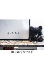 Gucci Doggy Style: Gucci Doggy Style