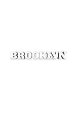 Brooklyn New York Creative Journal: Brooklyn Creative Journal Sir Michael Huhn Designer edition