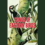 Songs of Eastern Birds