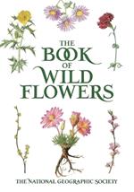 Book of Wild Flowers: Color Plates of 250 Wild Flowers and Grasses