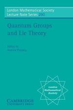 Quantum Groups and Lie Theory